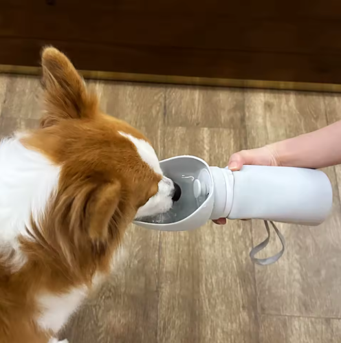 Portable Outdoor Water Feeder