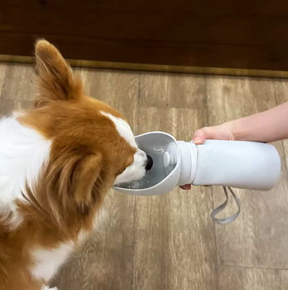 Portable Outdoor Water Feeder